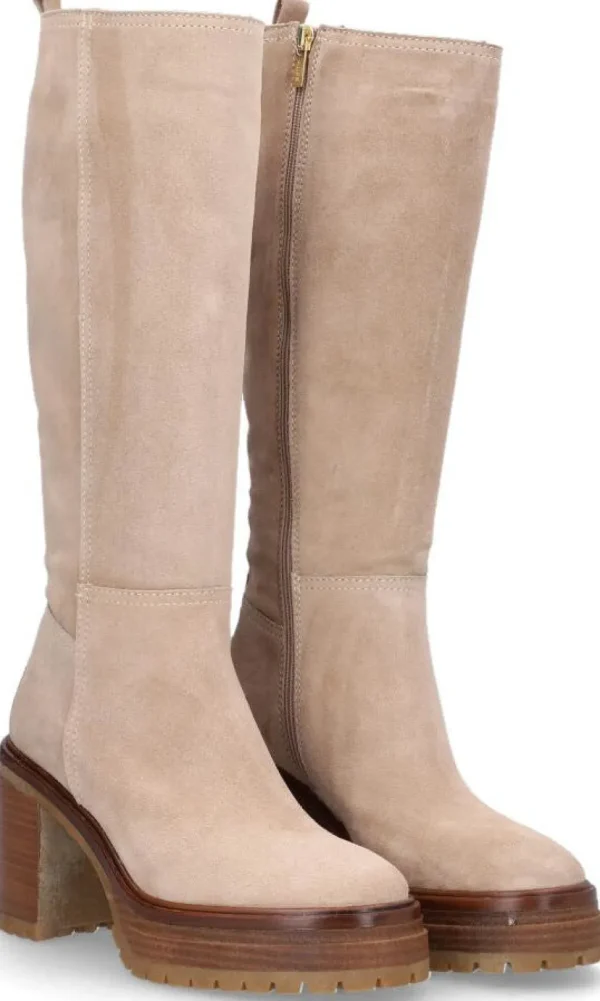 Alpe Bottes<ANIMA