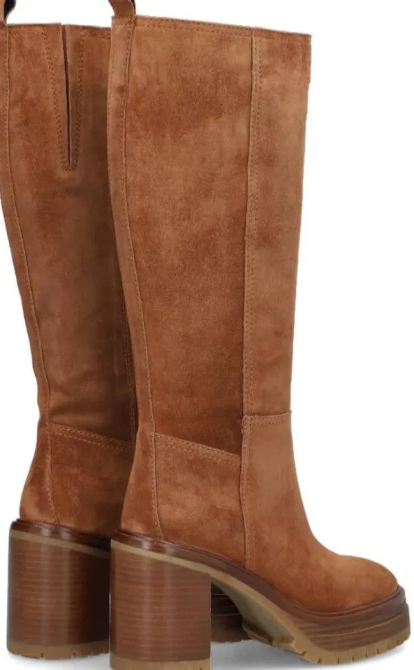 Alpe Bottes<ANIMA