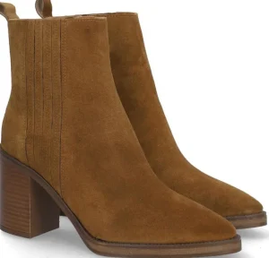 Alpe Bottines<CAMDEN