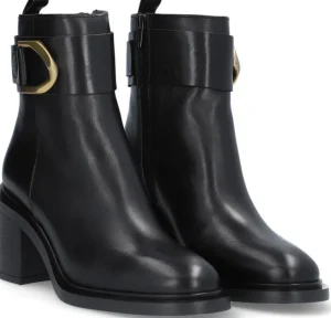 Alpe Bottines<EVOLET