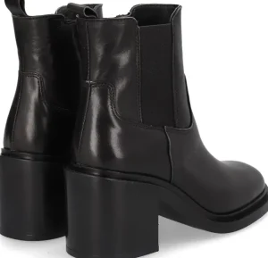 Alpe Bottines<EVOLET