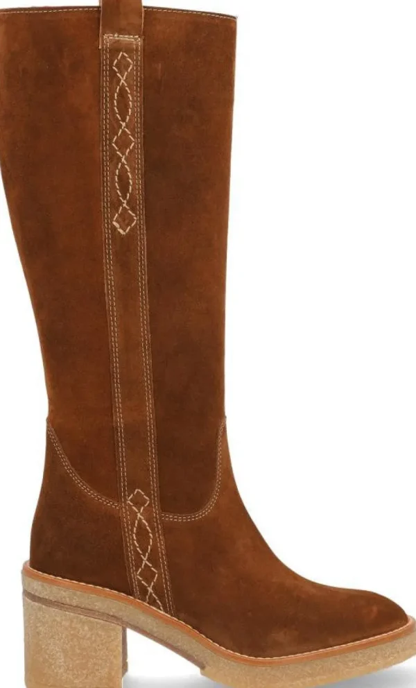 Alpe Bottes<JANIS