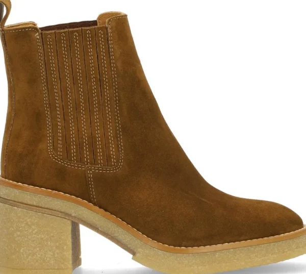 Alpe Bottines<JANIS