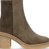 Alpe Bottines<JANIS