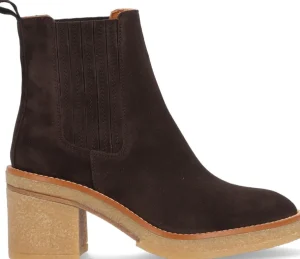 Alpe Bottines<JANIS