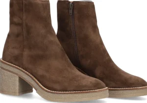 Alpe Bottines<JANIS