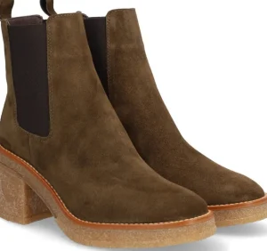 Alpe Bottines<JANIS