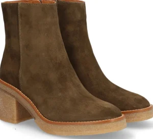 Alpe Bottines<JANIS