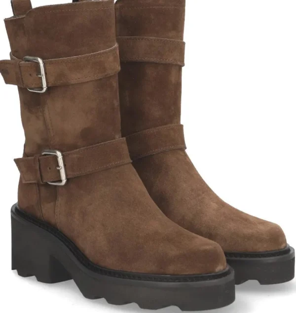 Alpe Bottes<LARA