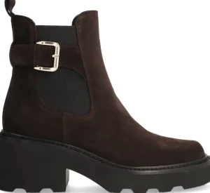 Alpe Bottines<LARA