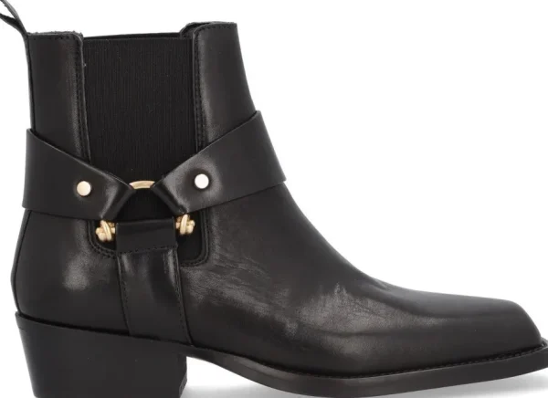 Alpe Bottines<MANZONI