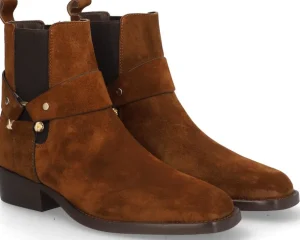 Alpe Bottines<MANZONI