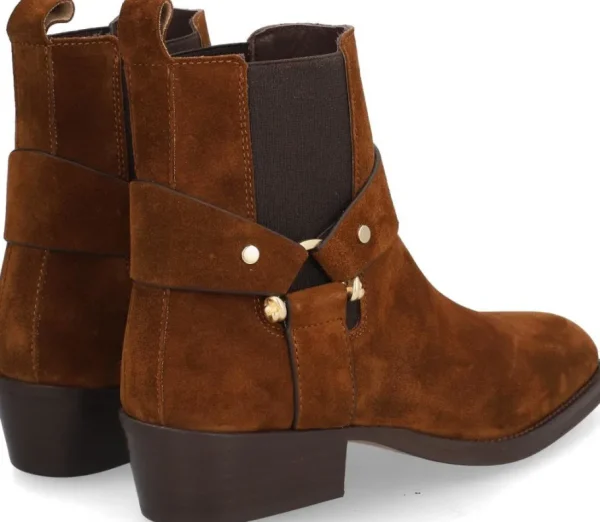 Alpe Bottines<MANZONI