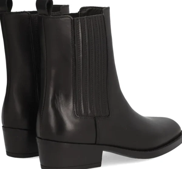 Alpe Bottines<MANZONI