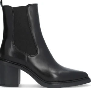 Alpe Bottines<NAOMI