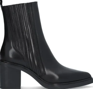 Alpe Bottines<NAOMI