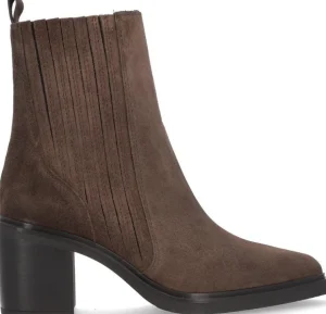 Alpe Bottines<NAOMI