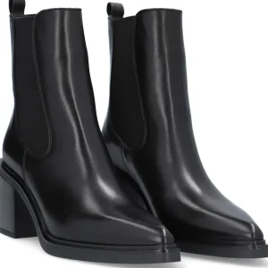 Alpe Bottines<NAOMI